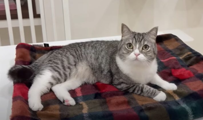 もちまる日記とは？